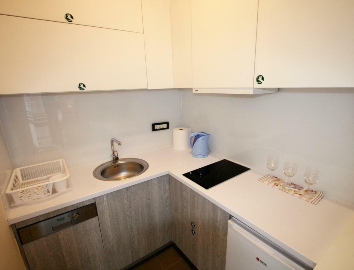 Vracar Appartement Belgrado Buitenkant foto
